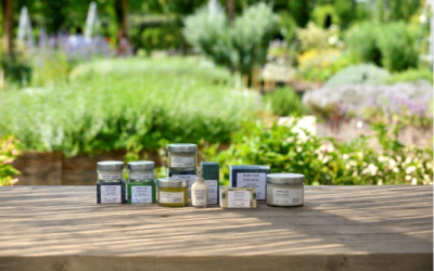 Vendor Highlight – [ comfort zone ]