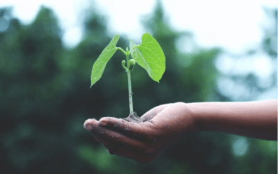 The Grass Is Greener – February 2022