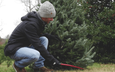 The Grass Is Greener – December 2022