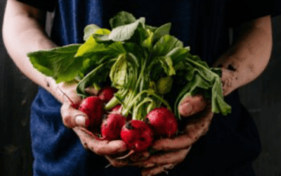 Grass Is Greener – January 2023