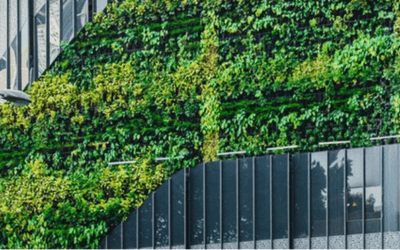 The Grass Is Greener – March 2023