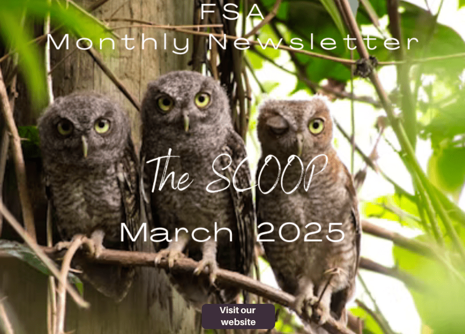 March 2025 – The Scoop
