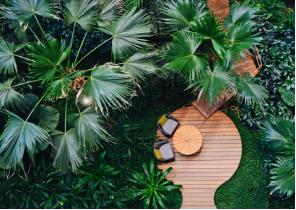 Grass Is Greener – August 2025